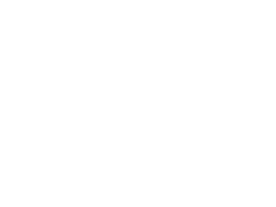 Logo 12
