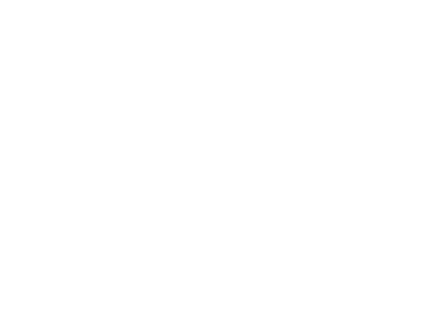 Logo 13